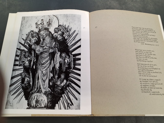 Træskulpturer fra danske landsbykirker af Gérard Franceschi